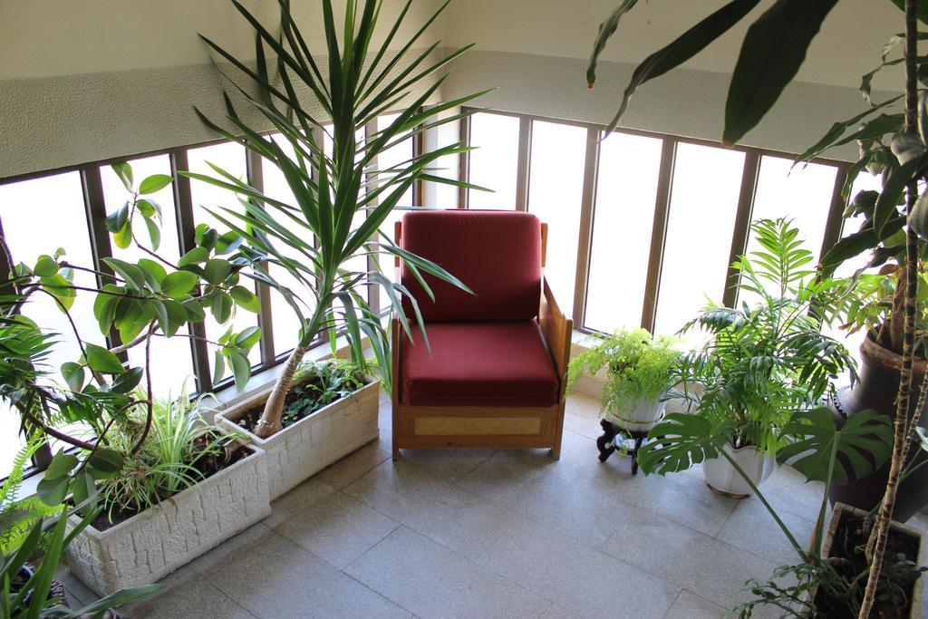 A Muralha Almeida Ngoại thất bức ảnh